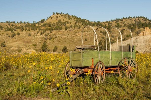 SD, Wild Horse Sanctuary Vintage wagon